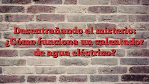 Desentrañando el misterio: ¿Cómo funciona un calentador de agua eléctrico?