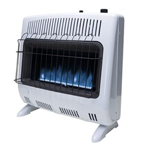 Best Natural Gas Space Heater