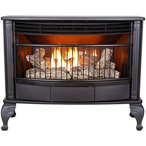 ProCom QNSD250RT Vent Free Dual Fuel Stove, Freestanding Fireplace and Indoor Space Heater, Use with Natural Gas or Liquid Propane, Remote Control, Heats up to 1,100 Square Feet, 25,000 BTU