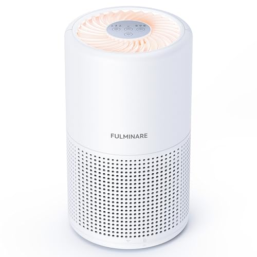 Air Purifiers for Bedroom, FULMINARE H13 True HEPA Air Filter, Quiet Air Cleaner With Night Light,Portable Small Air Purifier for Home, Office, Living Room