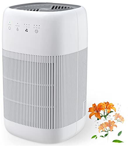 Afloia Air Purifier and Dehumidifier in 1, Air Purifier with Efficient Filter, Small Dehumidifier Combined with Air Cleaner, Remove Pet Odors Dust Smoke for Home, Bedroom, Bathroom