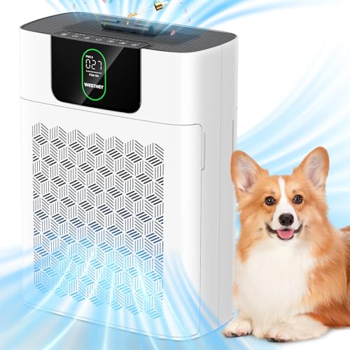 Air Purifiers for Home Large Room Up to 2500 ft², HEPA Air Purifier WESTHEY Air Purifiers for Home Pets, Air Cleaner for Smoke Pollen Pets Hair Odor, Double-sided Air Purifier with 2 PCS Filters