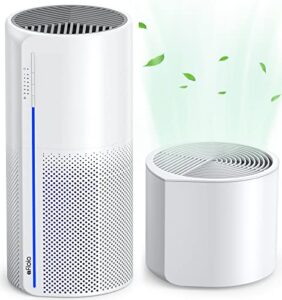 Best Air Purifier And Humidifier All in One