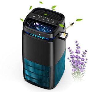 Best Air Purifier And Ionizer