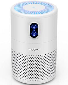 Best Air Purifier for 500 Square Feet