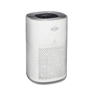 Best Air Purifier for Bacteria And Viruses