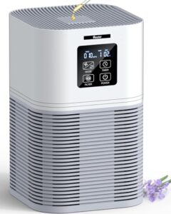 Best Air Purifier for Garage