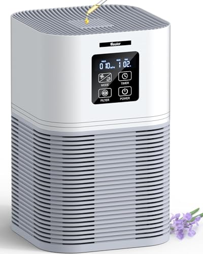 Best Air Purifier for Garage