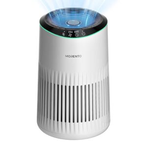 Best Air Purifier for Weed Odor