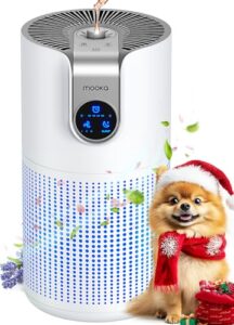 Best Air Purifier With Aromatherapy