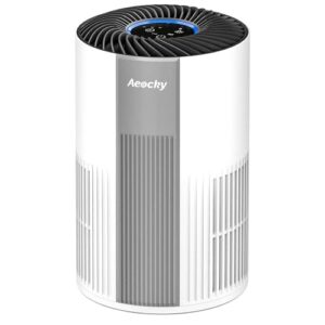 Best Air Purifier With Permanent Filter