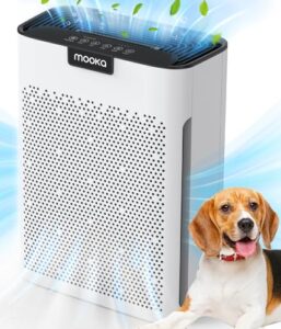 Best Air Purifier With Washable Filter