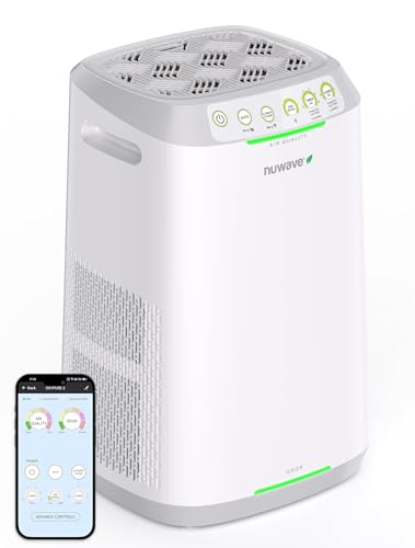 Best Budget Air Purifier With Washable Filter