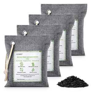 Best Charcoal Air Purifier Bags