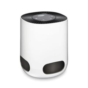 Best Dorm Room Air Purifier for Mold