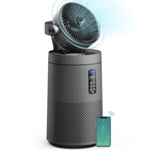 Best Fan And Air Purifier Combo