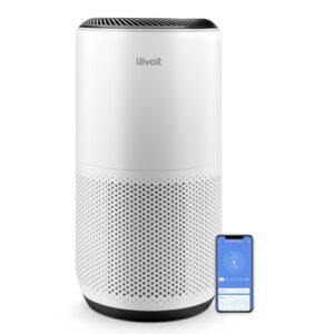 Best High End Air Purifier