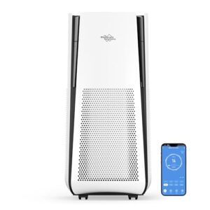 Best Home Solution Air Purifier