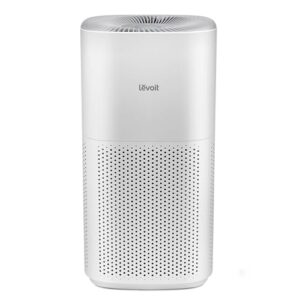 Best Large Space Air Purifier