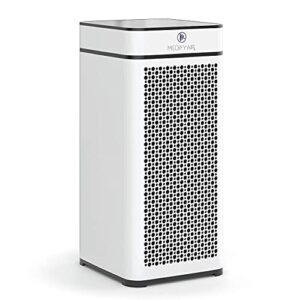 Best Medical Grade Air Purifier