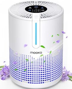 Best Small Air Purifier for One Smoker