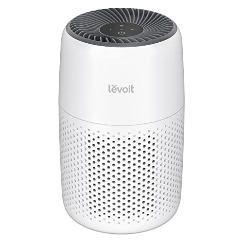 Best Small Space Air Purifier