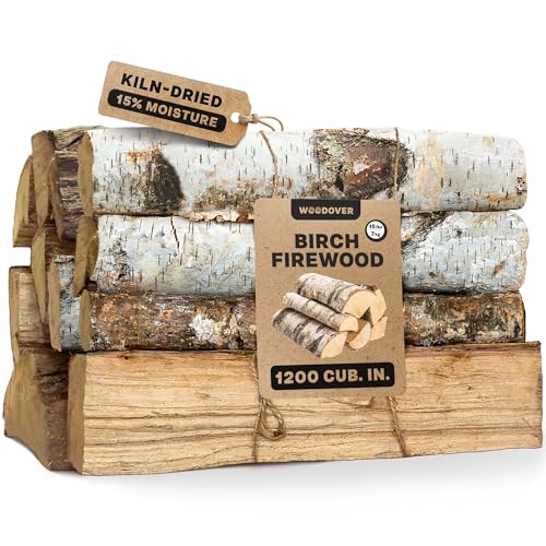 Best Wood for Fireplace No Smoke