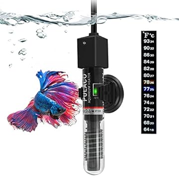 Best Betta Heater 1 Gallon