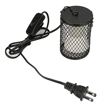 Best Ceramic Heater For Birds