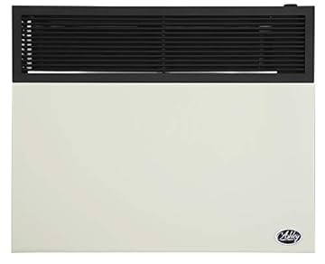 best direct vent propane heater