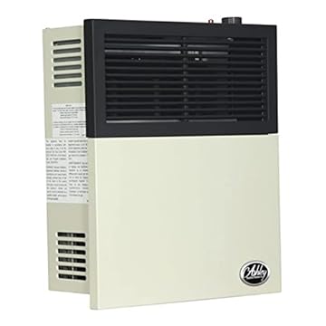 Best Direct Vent Room Heater