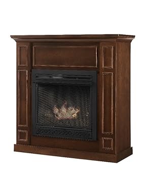 Best Freestanding Gas Fireplace Heater