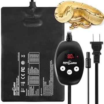 Best Snake Tank Heater