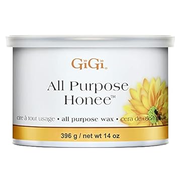 Best Wax Heater Gigi