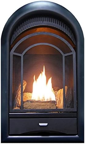 ProCom Dual Fuel Ventless Gas Fireplace Insert with Thermostat Control, 4 Fire Logs, Use with Natural Gas or Liquid Propane, 10000 BTU, Heats up to 500 Sq. Ft., Black