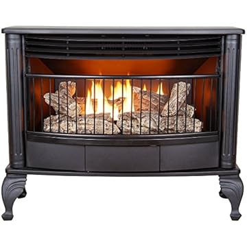 best freestanding gas fireplace heater