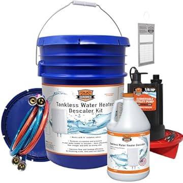 best tankless water heater descaling pump