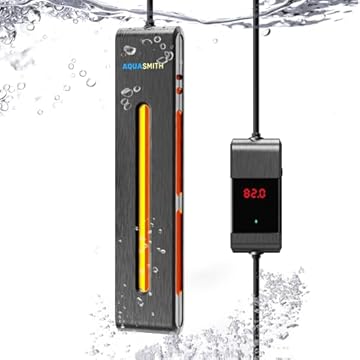 best heater for 60 gallon aquarium