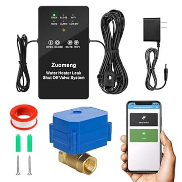 best tankless water heater shutoff sensor leak detection alarm