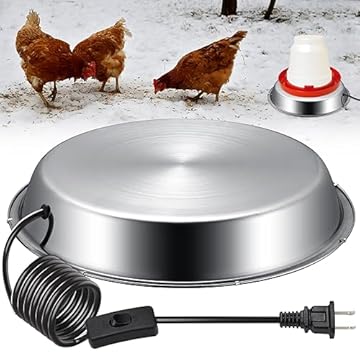 best water heater for chickens