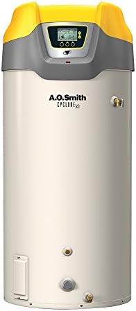AO Smith BTH-199 Tank Type Water Heater with Commercial Natural Gas