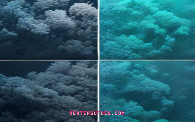 How Temperature Changes Trigger Coral Bleaching Events: A Forensic Look at the Reef’s Thermal Limit