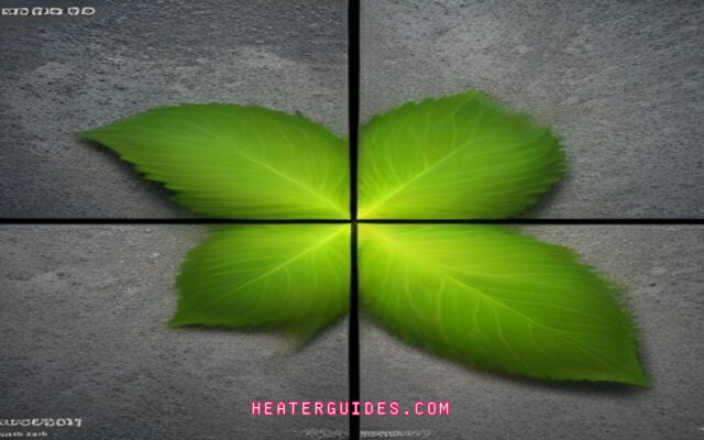 How Temperature Drastically Affects Photosynthesis Rates