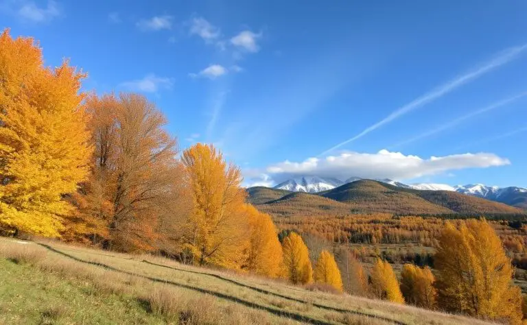 what are the effects of seasons on temperature