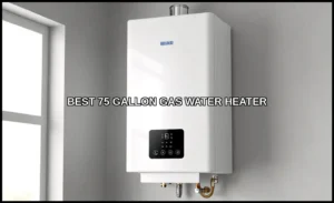 Best 75 gallon gas water heater