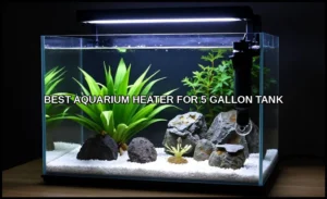 Best aquarium heater for 5 gallon tank