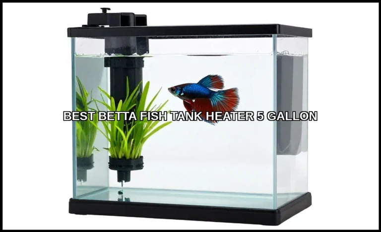 Best betta fish tank heater 5 gallon