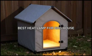 Best heat lamp for dog house