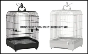 Best heater for bird cage
