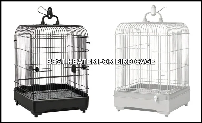 Best heater for bird cage